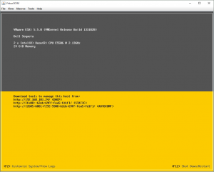 ESX_Install_Dell_C2100_18