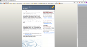 ESX_Install_Dell_C2100_19